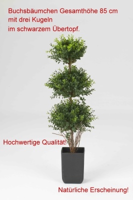 Buchsbaum, Buchsbäumchen künstlich in echter Erscheinung hohe Qualität. Gesamthöhe 83 bis 85 cm