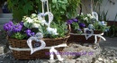 Balkonkasten pflanzen mit Sommerblumen - Pflanzkorb aus...