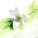 Lilien weiß, Seidenblume, Kunstblume sehr hohe Qualität, wie echt, 1 Blüte mit Knospe L 39 cm