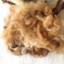 Flockenwolle, echte Wolle zum Basteln auslegen, f&uuml;llen, stopfen, Farbe braun-mocca, VE 20g