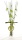 Rattanstäbe mit Holzkugeln, moderner Dekoartikel,  L 80 cm, ca. 10 Stäbe, hellgrün