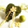 Moosherzen flach gelb grün dekoriert, zum Hängen oder als Tischaufleger zu verwenden