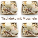 Deko Muscheln u. Schnecken mit Seesternchen im Mix, 6 Sorten u. Größen von 0,5 bis 7 cm VE ca. 210 g