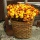 Strohblumen Trockenblumen mit Stiel natur orange mit Stiel, VE 1 großer Bund L ca. 42 cm