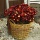 Strohblumen Trockenblumen mit Stiel natur rot mit Stiel, VE 1 großer Bund L ca. 42 cm