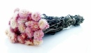 Strohblumen Trockenblumen natur rosa-pink mit Stiel, VE 1...