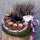 Pflanzring aus Moos als Grabgesteck zum selber machen! Mit Naturfloristik und frischen Erika