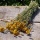 Trockenblumen Lona natur gelb, für Kränze und Naturgestecke