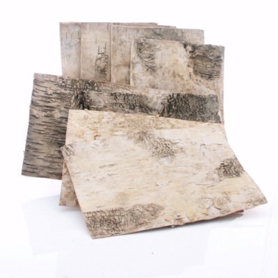 Birkenplatten, aus echter Birkenrinde, VE 8 Stück, L 30 cm, B 20 cm, Birkenartikel zum Dekorieren und Basteln