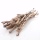 Birkenzweige, Birkenäste 10 St Bündel, L 50 cm, echtes Birkenholz zum Dekorieren