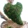 Moosherzen Herzgirlande, Girlande mit 8 Herzen aus Moos, L 2 m, Gr. 9x7 cm