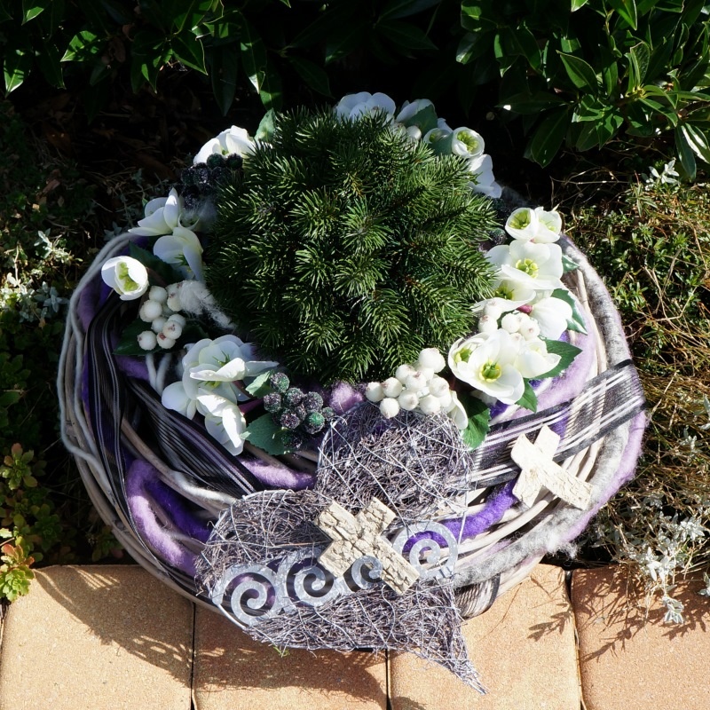 Grabgesteck in Pflanzschale mit Christrosen, Tannenkugel und Wollkorde