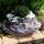 Grabgesteck in Pflanzschale mit Christrosen, Tannenkugel und Wollkordel in lila flieder. Modernes Grabgesteck selber machen