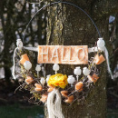 Filzband - Wollband zum Basteln und Dekorieren! L 2,50 m, B 7,5 cm  Farbe apricot hell