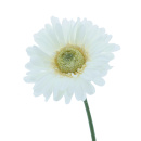 Gerbera Seidenblumen Kunstblumen, Gr. 11 künstlich hochwertige große Blume wie echt, in Blüte und  Stiel VE 1 Stück