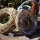 Pflanzschale, Pflanzring aus Rebe mit Folie zum Pflanzen Gr. 30 x 9 cm für Grabgestecke und Grabschmuck VE 1 Stück