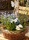 Pflanzkorb Weidenkorb natur rund 28 x H 12 cm mit Folie zum Pflanzen VE 1 Stück