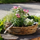 Pflanzring aus Weide natur für Garten und Grabschmuck mit Sommerblumen bepflanzt in rosa weiß