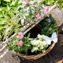 Pflanzring aus Weide natur für Garten und Grabschmuck mit Sommerblumen bepflanzt in rosa weiß