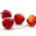 Deko Apfel | Äpfel künstlich zum Basteln VE 4 Stk rot 3,5 cm mit Draht für Herbst, Weihnachten und Advent