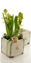 Pflanz-Schublade aus Holz, weiß im Shabby Chic, Pflanzgefäße Gr 12x12x12 cm quadratisch weiß - Landhaus Deko