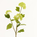 Seidenblumen Schneeballzweig 3 Blüten, L 70 cm, für Hochzeitsdekoration, Kommunion, Konfirmation grün