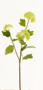 Seidenblumen Schneeballzweig 3 Blüten, L 70 cm, für Hochzeitsdekoration, Kommunion, Konfirmation grün