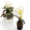 Amaryllis, Seidenblumen, Weihnachten, mit Ballen H22 cm, weiß mit Blätter VE 1 Stück