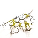 Zweige mit Moos, Mooszweig L54 cm, braun gr&uuml;n, Dekozweig mit Draht biegsam VE 1 St&uuml;ck