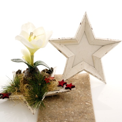 Holzstern Schale, Sternschale aus Antikholz, Sternteller aus Holz für Weihnachten Gr 25 x 3 cm weiß