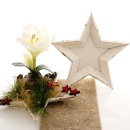 Holzstern Schale, Sternschale aus Antikholz, Sternteller aus Holz f&uuml;r Weihnachten Gr 25 x 3 cm wei&szlig;