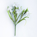 Märzenbecher, Seidenblume 7 Blüten mit Blätter H 24 cm, nette Deko für Frühjhar mit Beispiel