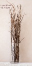 Dekozweige, Lärchenzweige natur braun, L 80 cm VE 1 Bund ca. 8-10 Stiele, für hohe Glasgefäße, Glasvasen