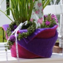 Wollband - Filzband als Übertopf für Pflanzen & Kräuter  hübsch dekoriert in pink, lila