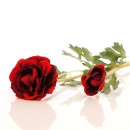 Ranunkel gro&szlig; rot, Seidenblume wie echt, zwei Bl&uuml;ten mit Bl&auml;tter, L 56 cm