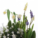 Pflanzschale für Frühjahr und Ostern, in Zink Schüssel blau weiß dekoriert im Landhausstil mit Naturfloristik
