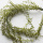 Succulente Pflanze Zweig künstlich, Kunstblume für Tischdeko und Glasvasen VE 1 Stiel 6 Zweige