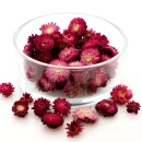 Strohblumenk&ouml;pfe Trockenblumen Helichrysum natur rosa/pink VE 30 g, zum Basteln im Landhausstil