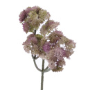 Herbstzweig Succulent, k&uuml;nstlich, L 30 cm Herbstdeko zum Dekorieren gr&uuml;n/pink