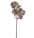 Herbstzweig Succulent, künstlich, L 30 cm Herbstdeko zum Dekorieren grün/pink