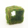 Mooswürfel-Inlay für Glaswürfel quadratisch 8,5x8,5x8,2 cm
