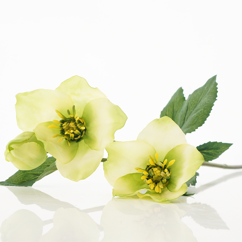 Christrose Seidenblume Kunstblume Kunstpflanze 50 cm creme grün 204501-50 F63 