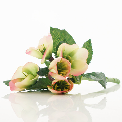 Christrosen künstlich rosa grün mit Aquastiel und Blätter, L 24 cm, Blumen für Winterdekorationen VE 1 Stück
