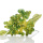 Beerendolden Beeren künstlich grün gelb mit Drahtstiel  VE 1 Stück