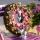 Trockenblumen | Acroclinium natur rosa, Blüten mit Stiel, VE 1 Bund