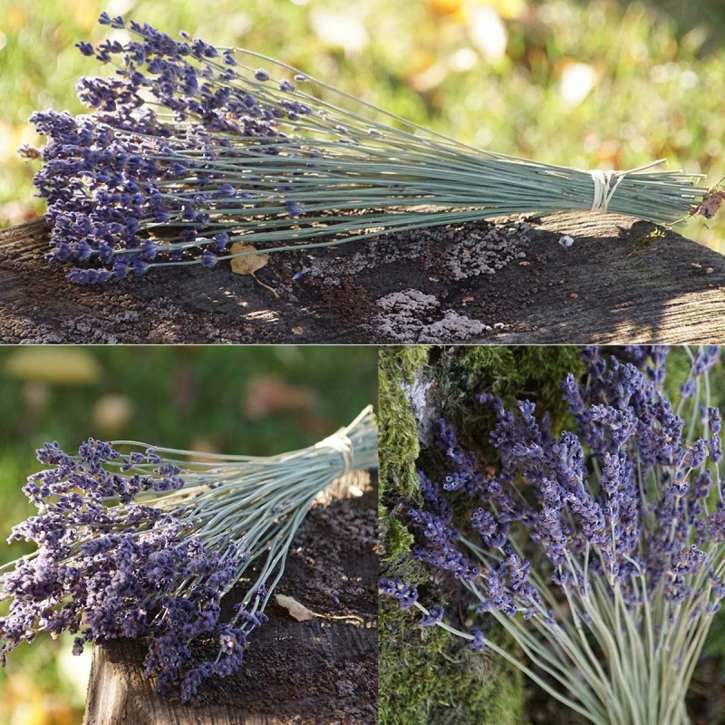 1 Bündel Natürlich Getrocknet Blumenstrauß Lavendel Strauß Lavendel Home De L4O8 