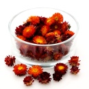 Strohblumenk&ouml;pfe Trockenblumen Helichrysum natur rot/orange VE 30 g zum Basteln im Landhausstil