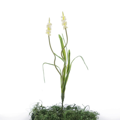 Seidenblume, Kunstblume Traubenhyazinthe, Stiel mit 2 Blüten, weiß L ca. 25 cm