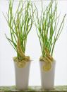 Zweige grün Mitsumata L 60 - 70 cm VE 14-15 Stiele