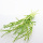 Zweige grün Mitsumata L 60 - 70 cm VE 14-15 Stiele